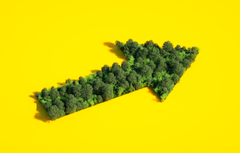 A green arrow of vegetation points up on a yellow background.