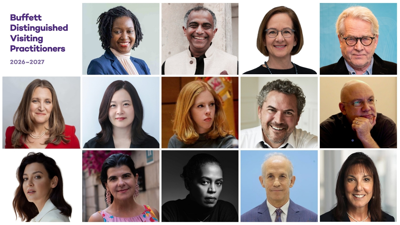 Collage of the 14 visiting practitioners