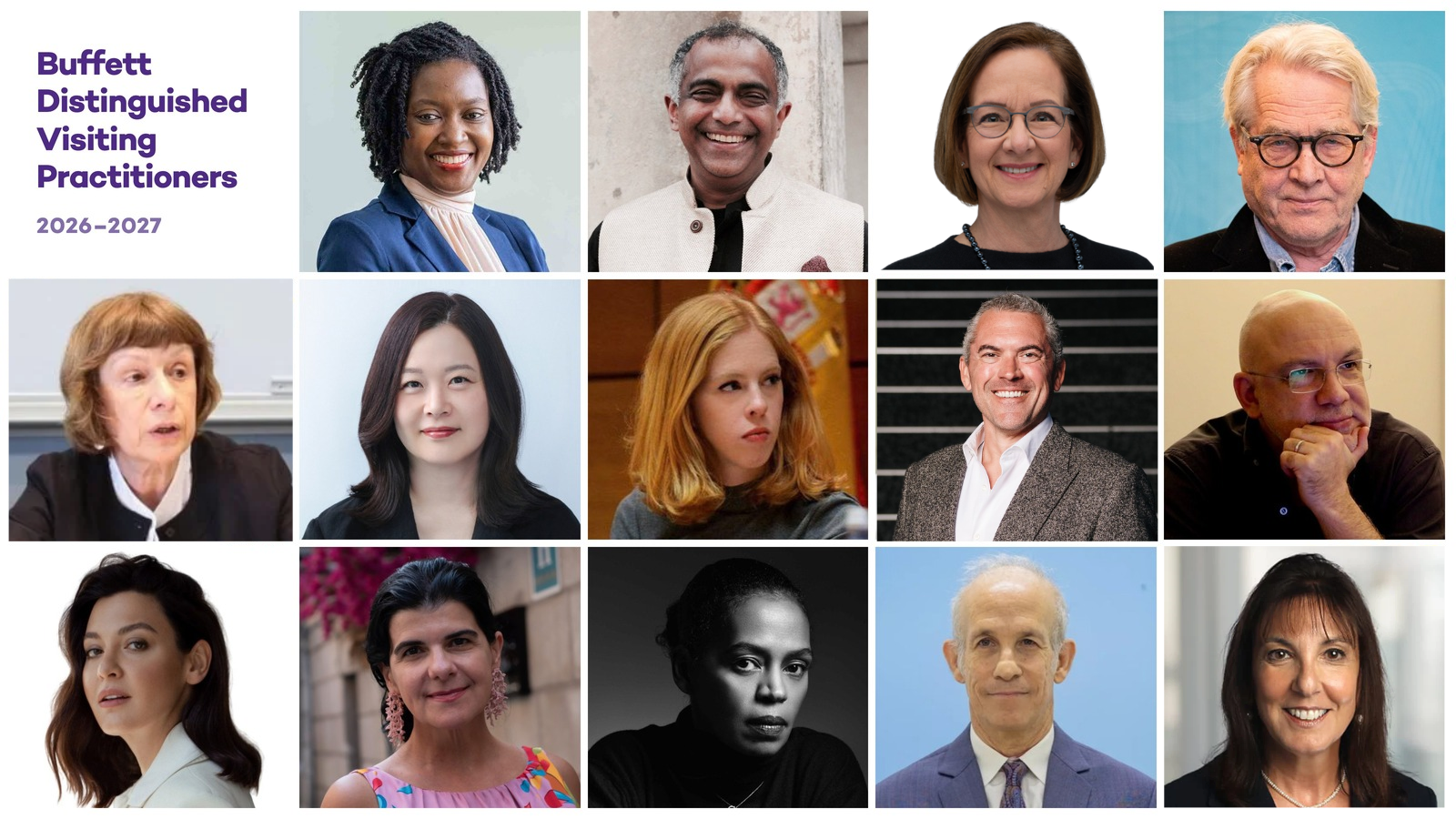 Collage of the 14 visiting practitioners