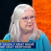 Dr. Teresa Horton with Northwestern University talks about the lasting lessons of the Chicago heat wave.