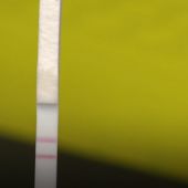 Like a COVID test, the lead test shows solid red lines — and the darker the line, the more lead in the sample.