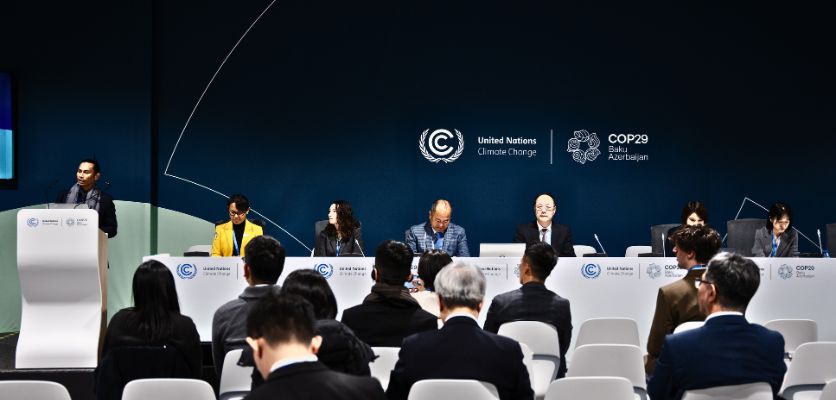 COP29 Reflections From Northwestern University's Delegation