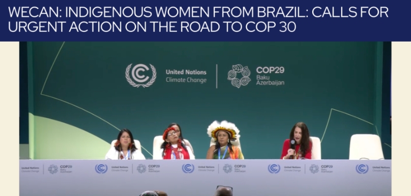 COP29 Reflections From Northwestern University's Delegation