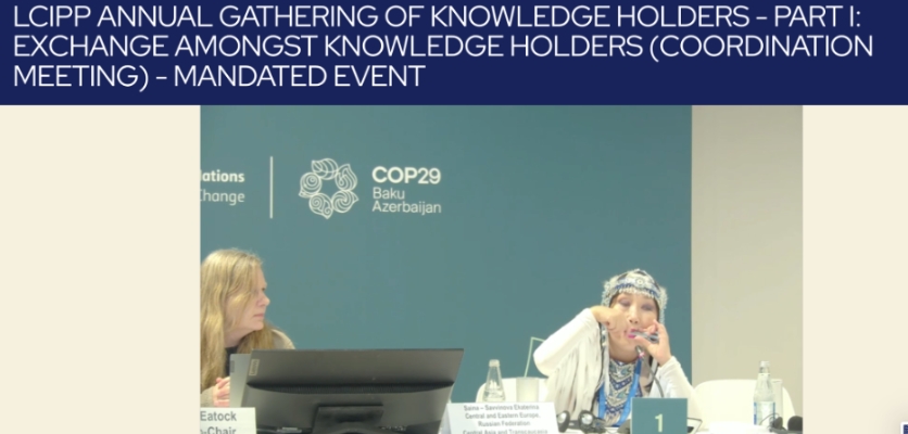 COP29 Reflections From Northwestern University's Delegation