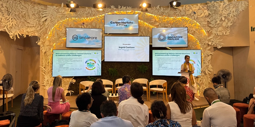 Afternoon conversations on nature and the city at the Singapore Pavilion