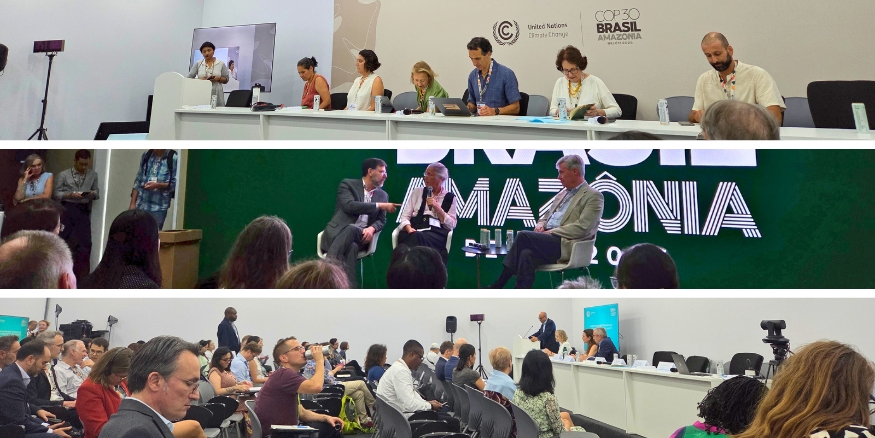 Presentations and events in the blue zone