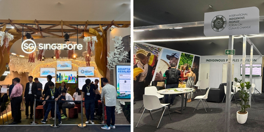 Singapore Pavilion and Indigenous Peoples Pavilion