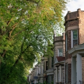 A tree-lined street in a Chicago neighborhood.
