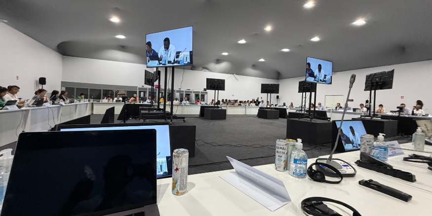 Miguel attending a meeting at COP30