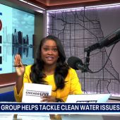 News anchor reports on Buffett Working Group