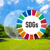 UN SDGs logo