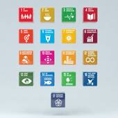 Sustainable Development Goals graphics array